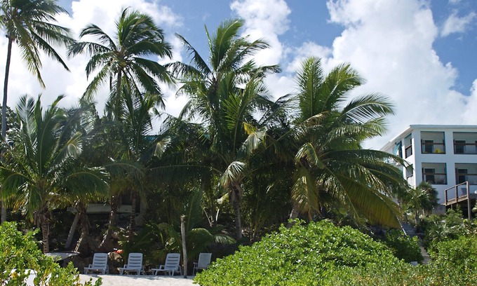 Great Exuma Condo | Driftwood Condo at Hoopers Bay: Unmatched Ocean Views