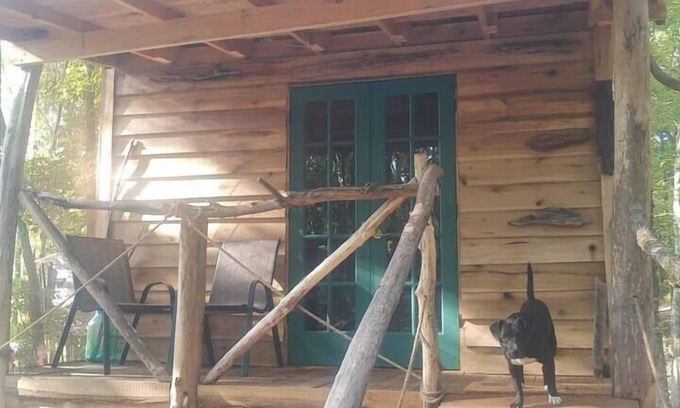 Ozone Cabin | Tranquil Treehouse Cabin: Pet-Friendly Retreat with AC