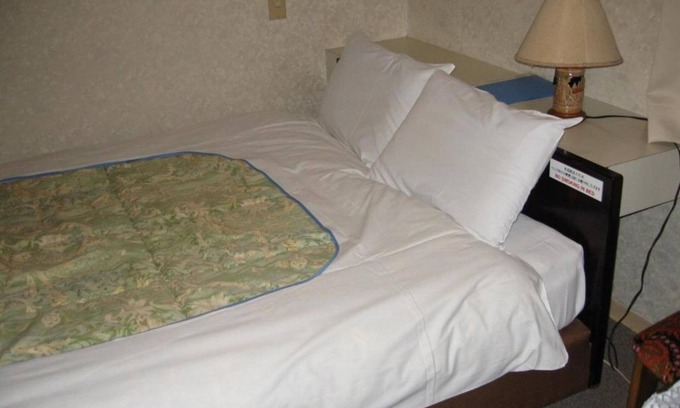 Higashiueno Hotel | Cozy Non-Smoking Double Room in Taito-ku, Tokyo