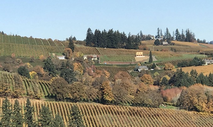 Dundee House | Discover Dundee Hills: 3 Master Suites in Wine Country