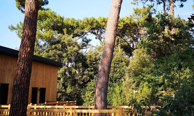 Pyla-sur-Mer Apartment | Cozy Duplex Pyla sur Mer with Garden, Steps from the Beach