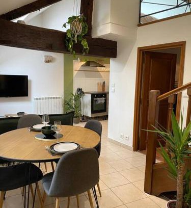 Blois Apartment | Discover Dupplex: Child-Friendly Stay in Downtown