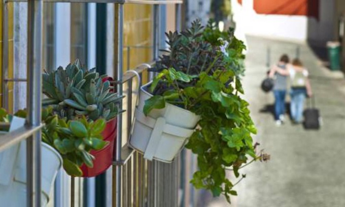 Sacramento Apartment | Duque's Apartments: Guest Rated 10/10 in Vibrant Chiado