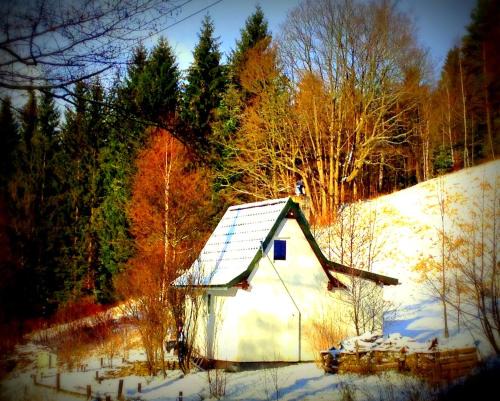Duszniki Zdroj House | Pet-Friendly Dziewięćsił Cabin in the Mountains - Rated 9.7