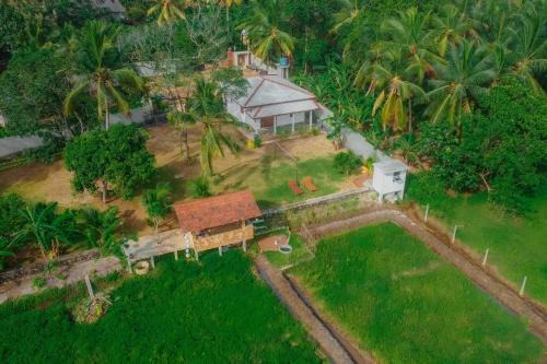 Induruwa Bed & Breakfast | Budget-Friendly Eagle Resort: Pet & Child Friendly Stay