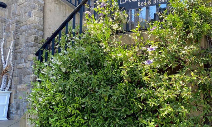 Chemainus Bed & Breakfast | Top-Rated Eagle Rock Bed and Breakfast with Amazing Amenities