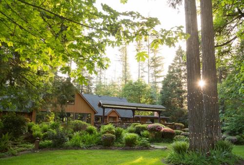 Vida Cabin | Premium Stay at Eagle Rock Lodge: 4-Star with Top Amenities