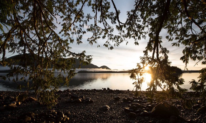 Tofino House | Tranquil Eagle's Nest: Inlet & Forest Views by Downtown