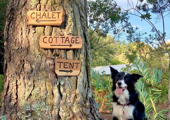 Wilderness House | Discover Eagles' Call Cottages with Ocean Views and Pool