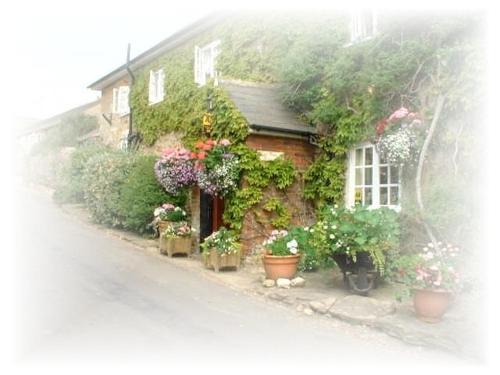Abbotsbury Bed & Breakfast | Cozy East Farm House B&B - Guest Rated 8.5/10