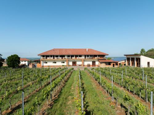 Mozsgo Bed & Breakfast | Inviting Ebner Pince - Panzió: Top-Rated with Hot Tub