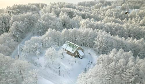 Madarao Mountain Resort Cabin | Exceptional Stay at Echoland Madarao with Family-Friendly Amenities