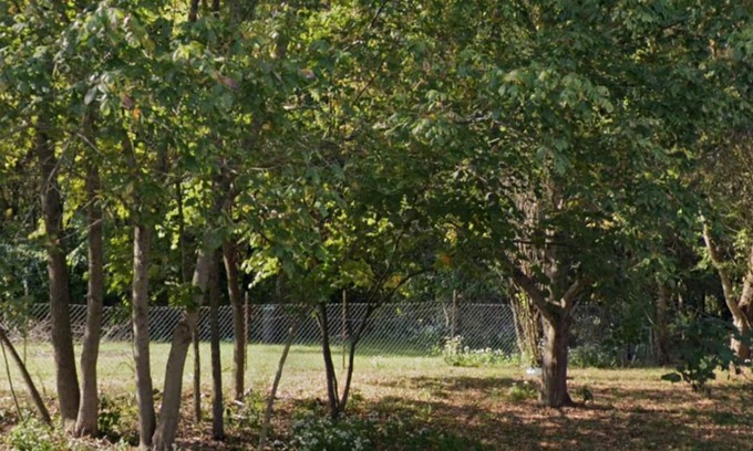 Murphysboro RV Rental | Convenient Eclipse Campsite 3 with Breakfast & Family Fun