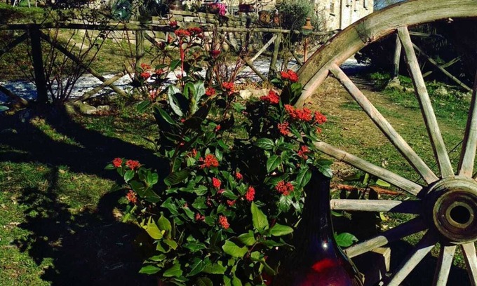 Monteluiano Other | Experience Eco Agritourism Montesalce with Spa & Pool