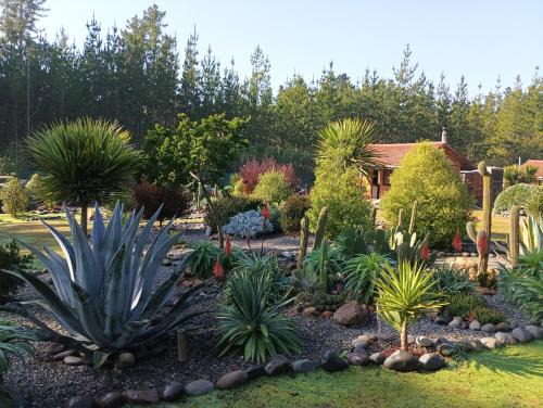 Algarrobo Ski Chalet | Eco Cabañas Algarrobo: Guest Rated 10/10 with Kitchen Access