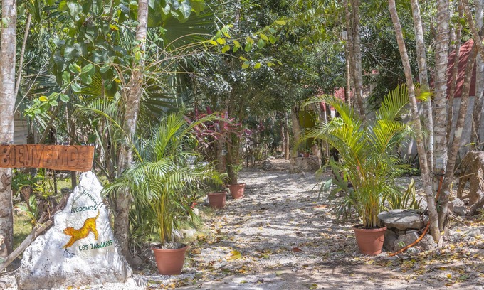 Leona Vicario House | Eco-Friendly Dome Retreat in Lush Jungle with Pool & Amenities