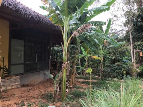 Cua Can Village Cabin | Eco Lagoon Countryside Art Retreat