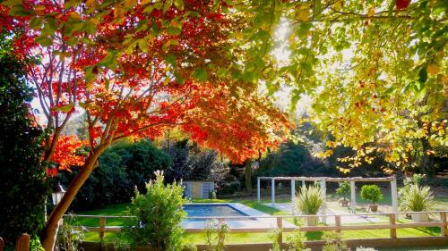 Bracchio Bed & Breakfast | Eco-Resort Parco Botanico Fiorlago: Pet-Friendly Retreat