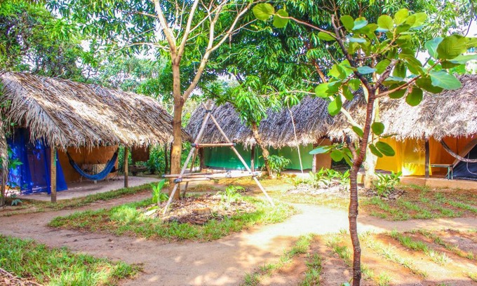 Sao Jorge Other | Top-Rated Ecocamping Canto da Coruja with Breakfast & Kitchen
