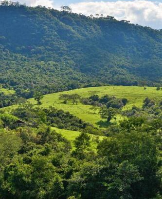 Bofete House | Eco-Friendly Chalé Gabiroba: Pet Friendly with Breakfast