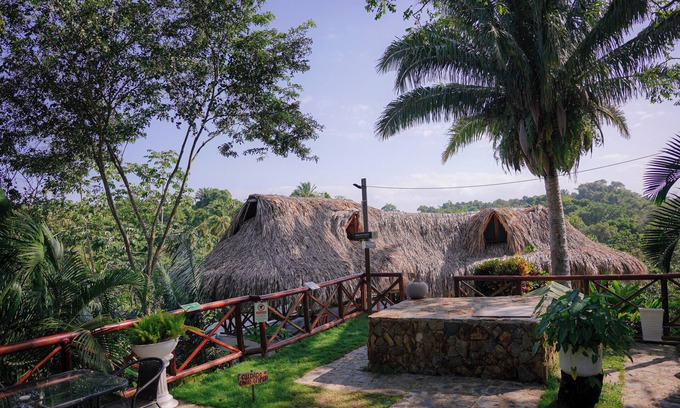 Canaveral Hotel | Ecohotel Yachay Tayrona: Relax by the Pool with Ocean Views
