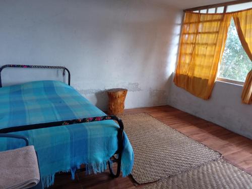 Ibarra House | Pet-Friendly ECOHUERTO: Guest Rated 10/10 Experience