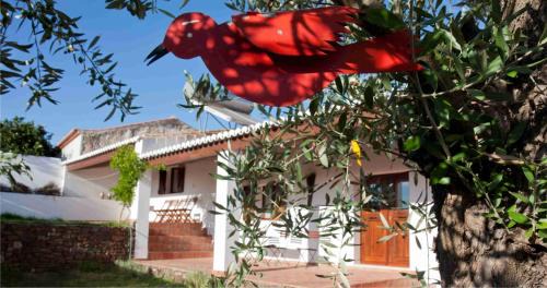 Mertola House | Cozy Ecoland Casa de Campo with Ocean Views & Breakfast