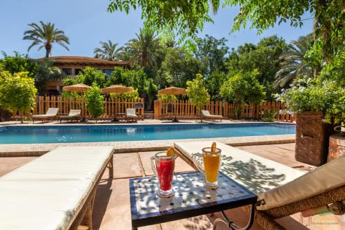 Tarmigt House | Relax at Ecolodge La Palmeraie: Oceanfront Bliss Awaits