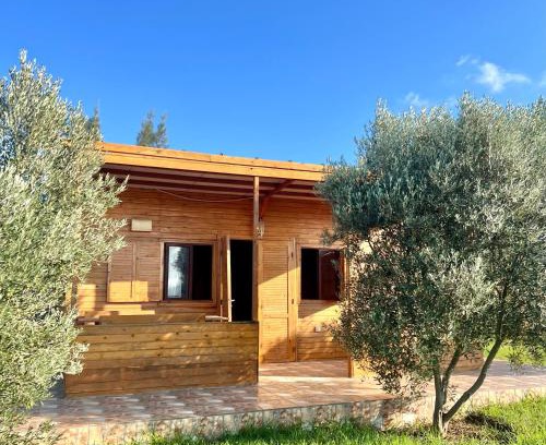 Fdalate Ski Chalet | Discover Ecolodge Vert in Benslimane - Rated 9.5/10!