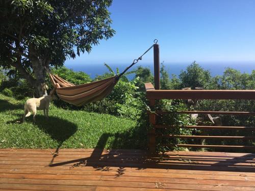 La Montagne House | Seaside Retreat with Ocean Views and Scenic Boat Vistas