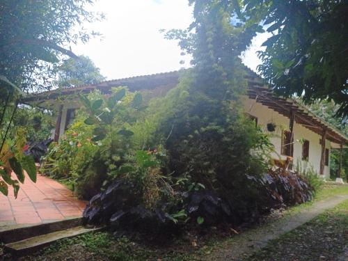 Dagua House | Discover Ecopolis Finca: A Pet-Friendly Retreat