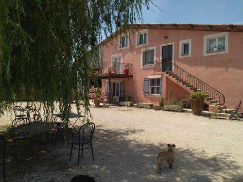 Pont Royal House | Ecurie Le Pas du Loup