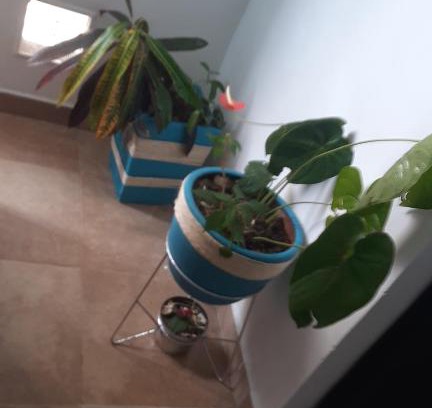 Bucaramanga House | Budget-Friendly Stay at Edificio Kotoko Barrio Caldas