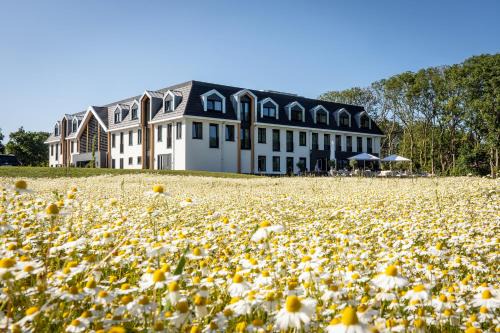De Cocksdorp Hotel | Pet-Friendly Getaway at Het Eilandhotel - Rated 8/10