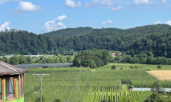 Tettnang Apartment | Scenic Terrace with Unique Panorama Near Tettnang Bodensee