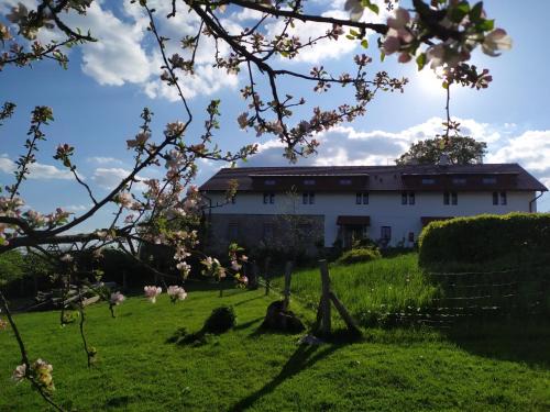 Borohradek House | Eco-Friendly Retreat: Ekofarma Bílý mrak with Family Amenities