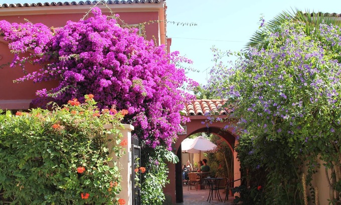 La Serena Bed & Breakfast | Guest Rated 10/10: El Arbol Hostel with Spa & Breakfast