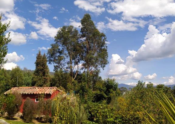 Nemocon Ski Chalet | Guest Rated 10/10 at El Chalet de El Refugio de la Loma