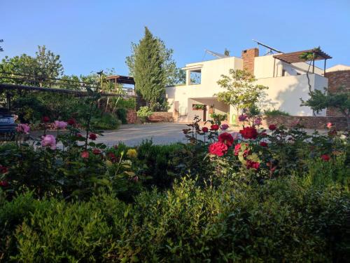 Fondon Villa | Discover El Domingo en el Valle: Family & Pet-Friendly Stay