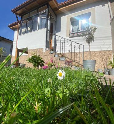 Distrito Sur House | Discover El Hogarin de Veronica: Pet-Friendly Oceanfront Haven
