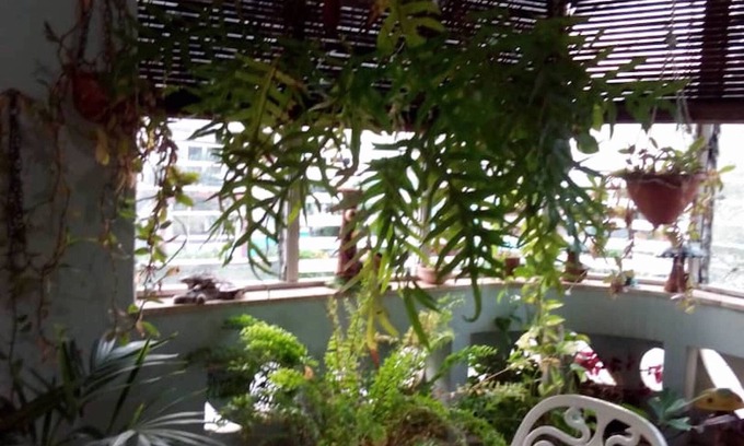 Municipality of Playa House | Cozy El Hostal Casa Cuevas with Spa & Family Amenities