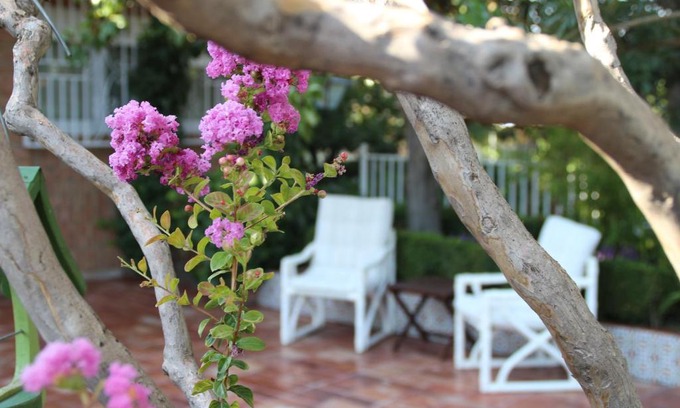 Barrio de la Vega House | Experience El Jardín de la Abuela: 4-Star Oceanfront Retreat