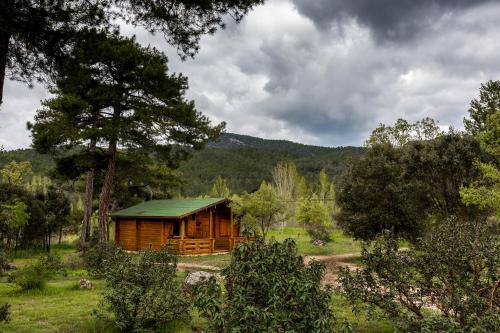 Canamares House | Pet-Friendly El Llano de los Conejos with Oceanfront Views