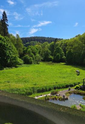 Kempenich Apartment | EL MIRADOR - Ferienwohnung Nähe Nürburgring - Eifel - Ahr - Rhein - RENOVIERT