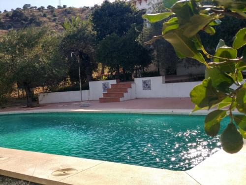 Alora House | Discover El Olivar de Concha: Guest Rated 9.5, Oceanfront Bliss