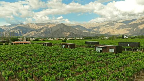 Cafayate Hotel | Experience El Porvenir Wine Lodge: Premier Oceanfront Stay