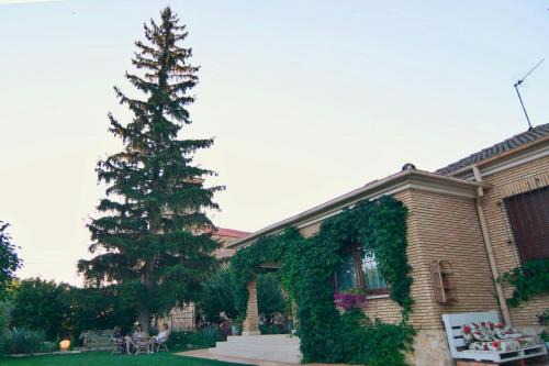 Santibanez del Val House | Discover El Quinto Pino: Family and Pet-Friendly Retreat