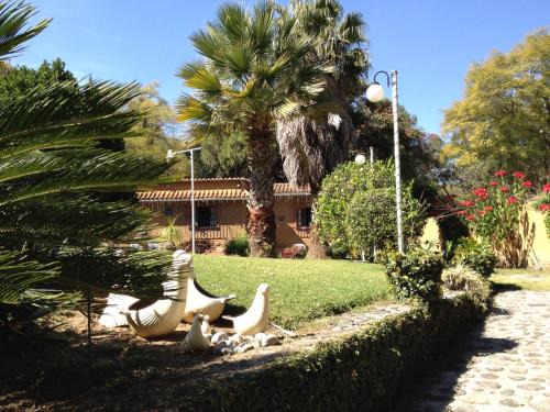 San Miguel House | Discover El Refugio de las Palomas: Oceanfront Oasis