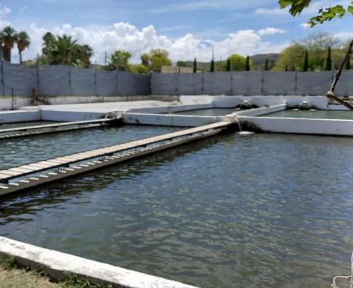 San Francisco de Conchos House | El salto del Río Conchos