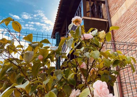 Comillas City Center Hotel | Top-Rated El Tejo de Comillas: Family-Friendly Comfort